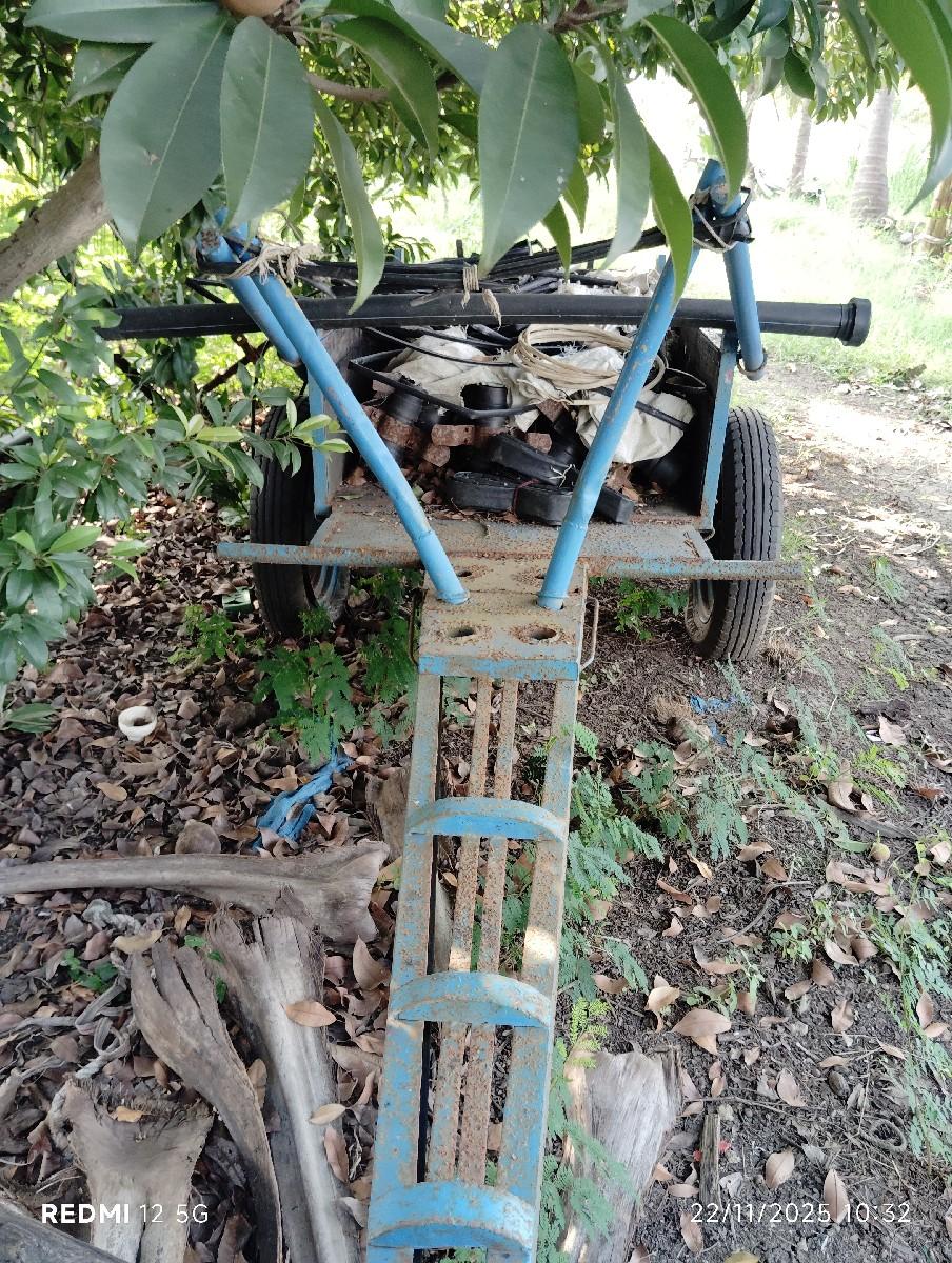 थंबनेल 3