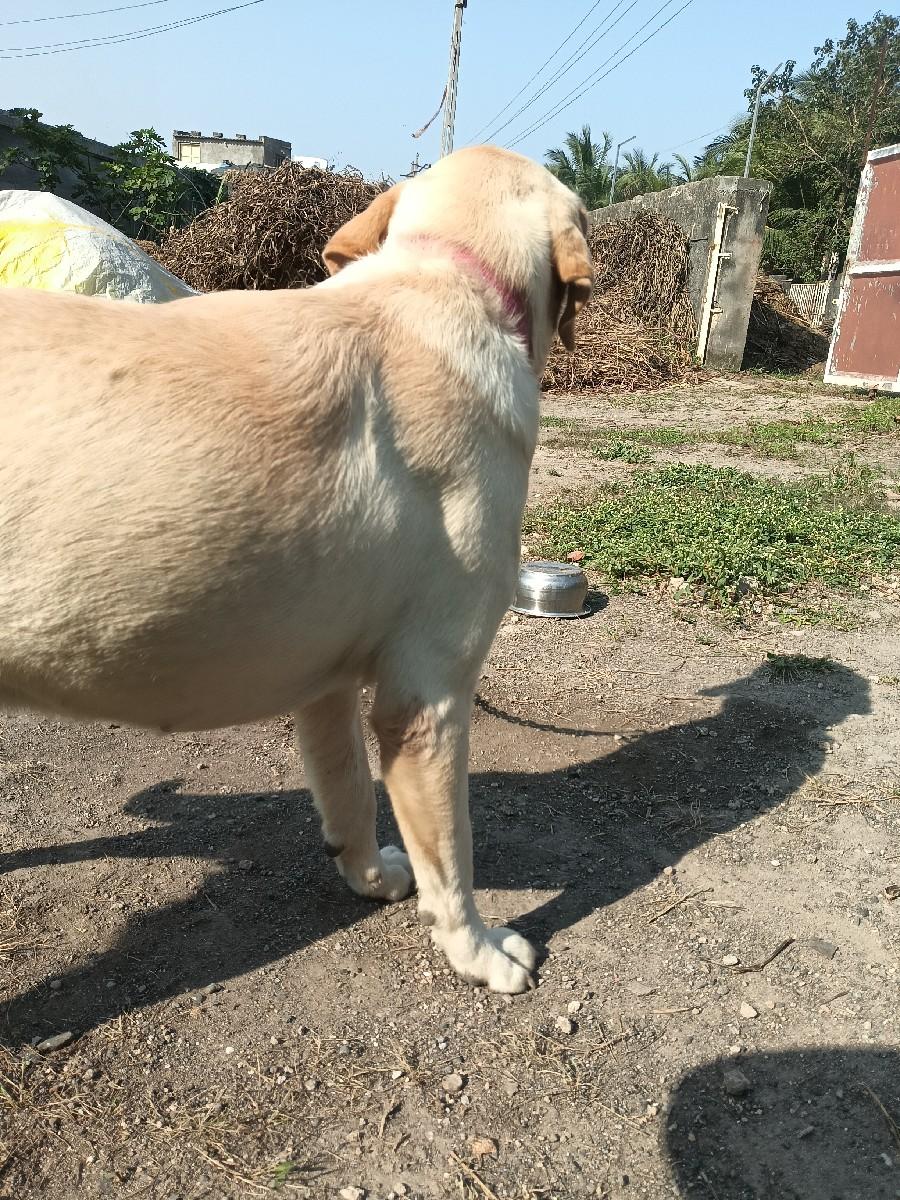 થંબનેલ 2