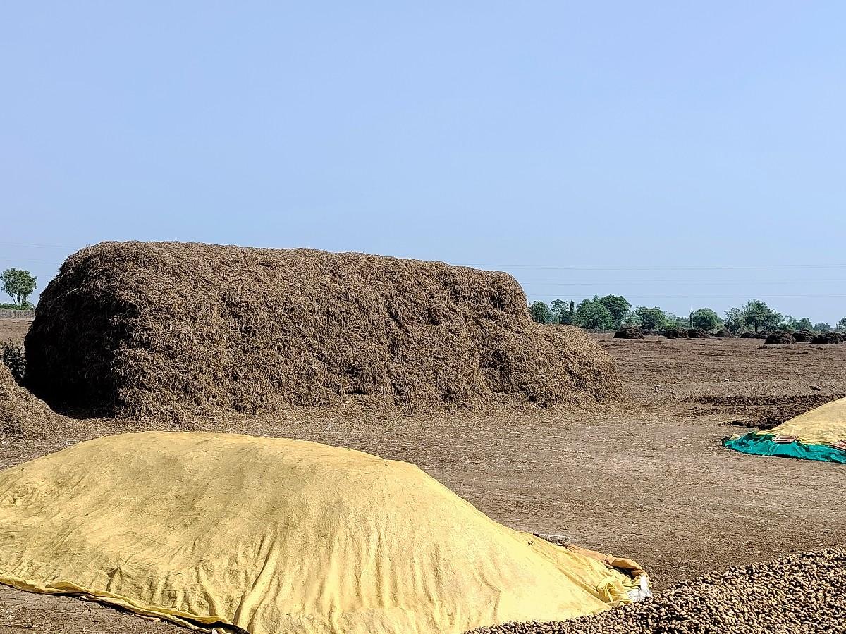 માંડવીનો ભુકો વેચવાનો છે