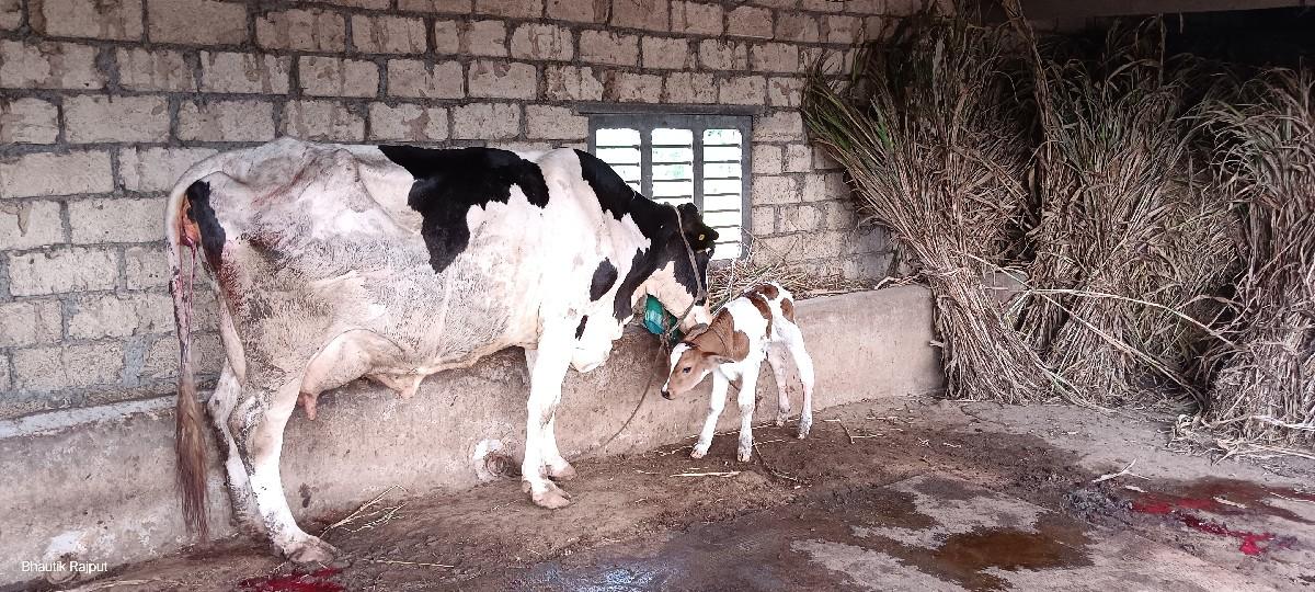 વેચવાની છે