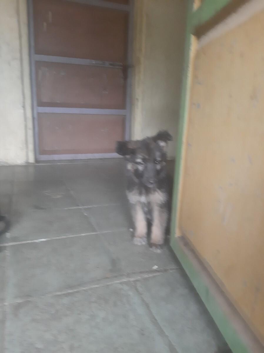 થંબનેલ 3