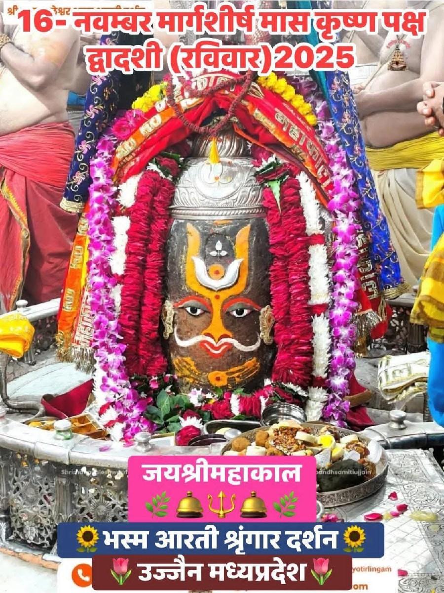 *જમીન લે વેચ માટે સંપર્ક કરો*