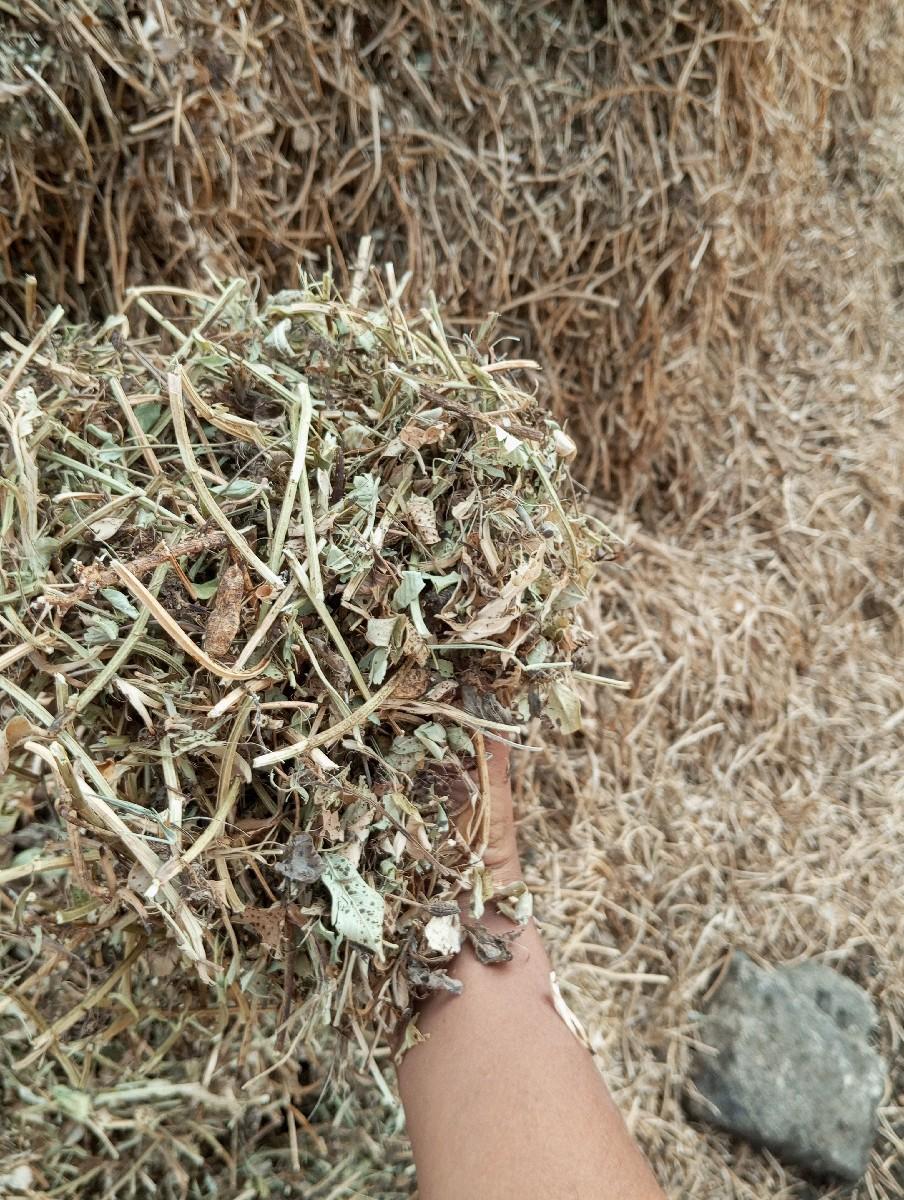 ભુકો પાલો( કોરો) વેચવા નો છે