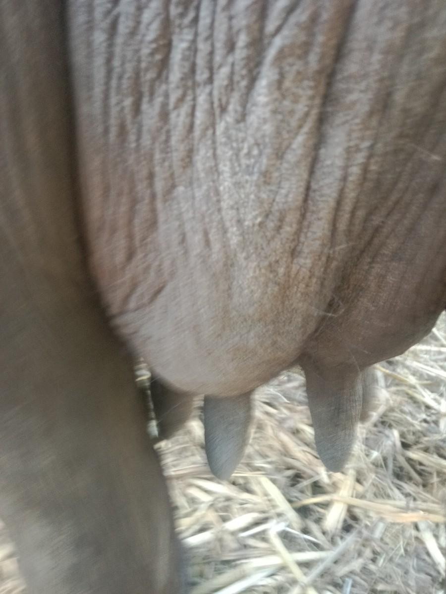 ૬૩૫૪૬ ૫૮૯૧૧