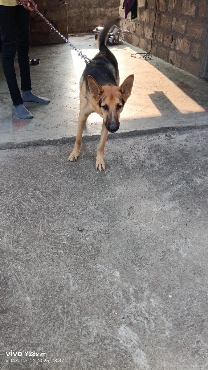 થંબનેલ 2