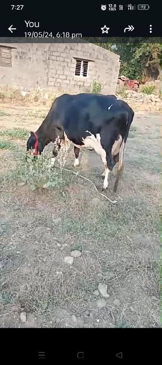 થંબનેલ 2