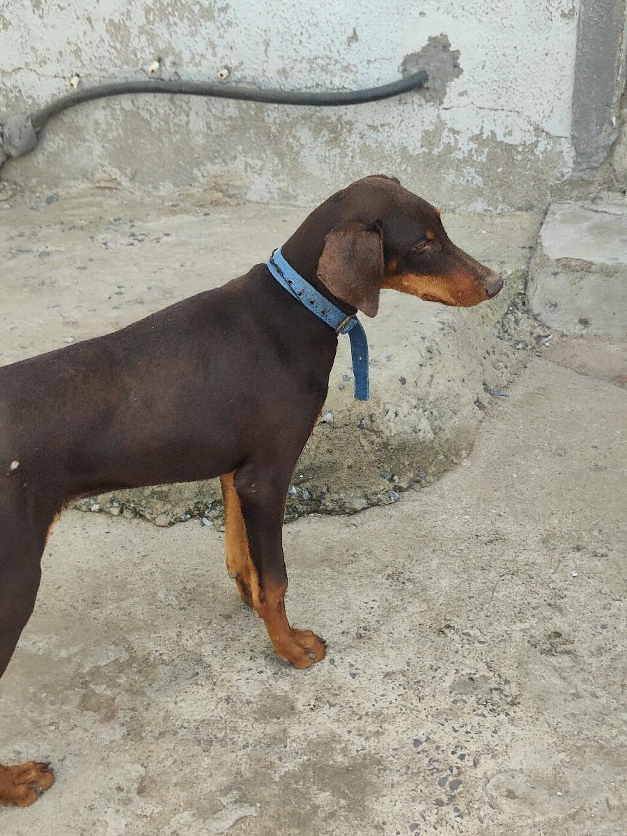 થંબનેલ 2