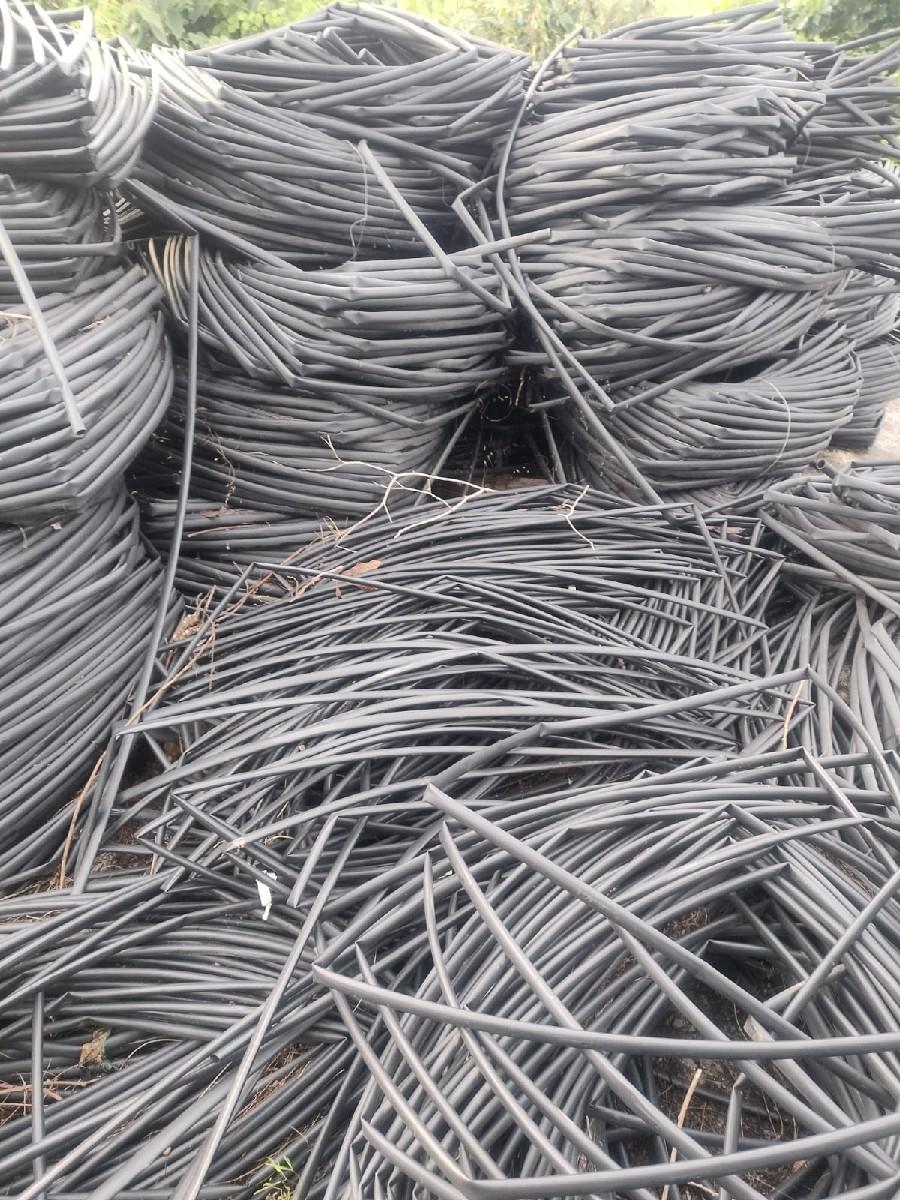 થંબનેલ 5