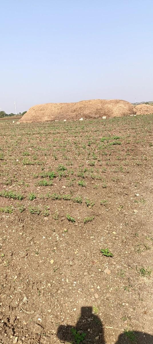 g 20 no bhuko vesvaano se