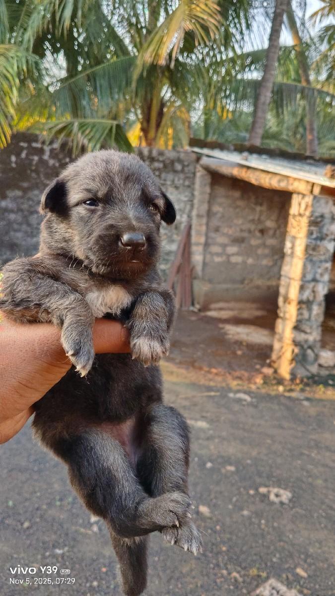 થંબનેલ 2