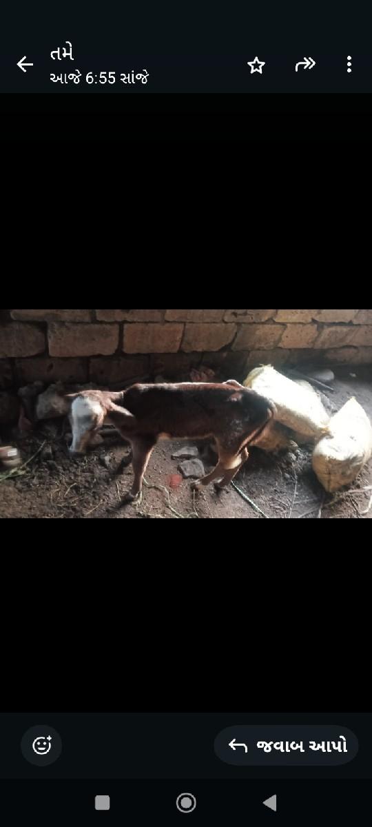 થંબનેલ 3