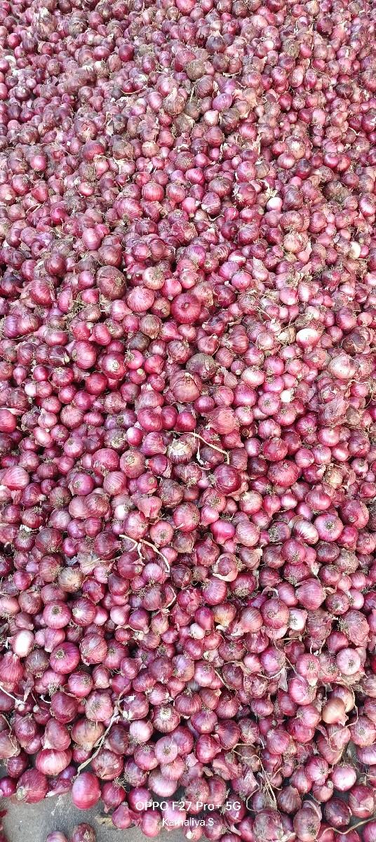 थंबनेल 3