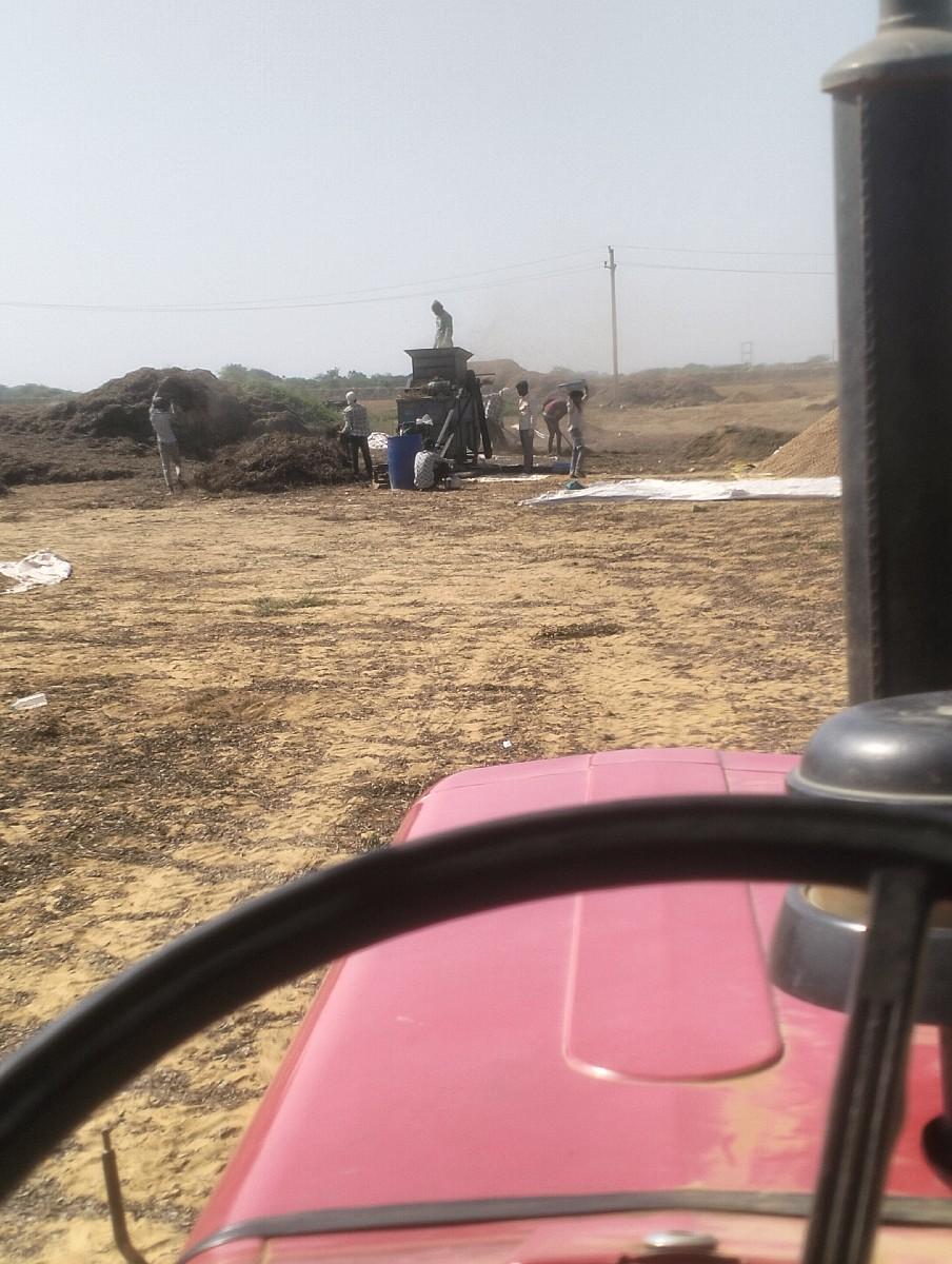 મગફળી નો ભુકો