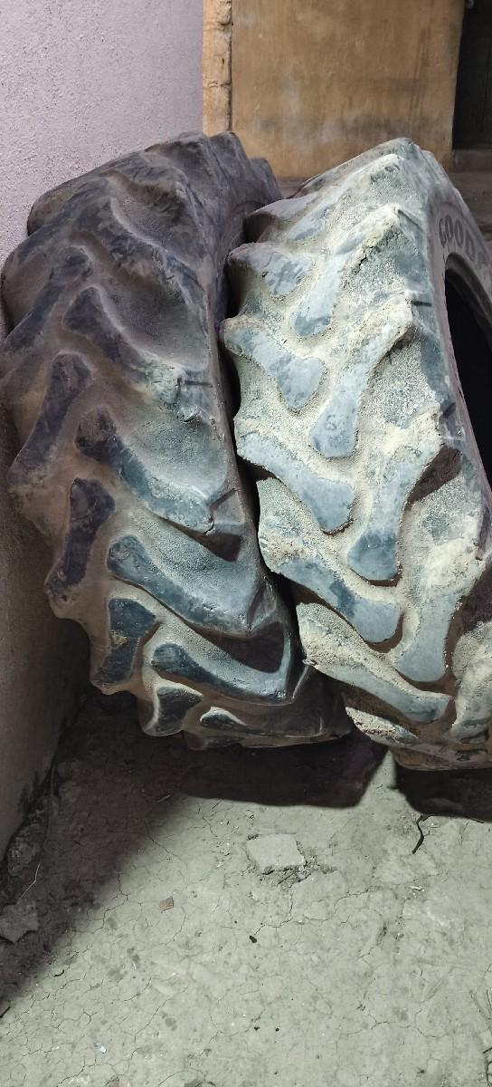 થંબનેલ 2