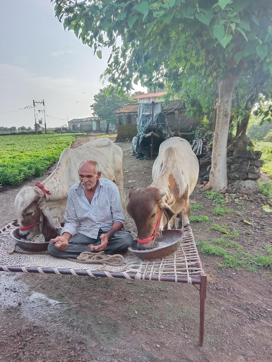 થંબનેલ 3