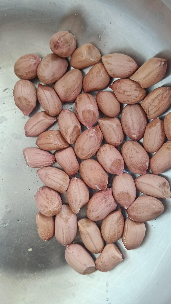 22 નંબર મગફળી બિયારણ માટે