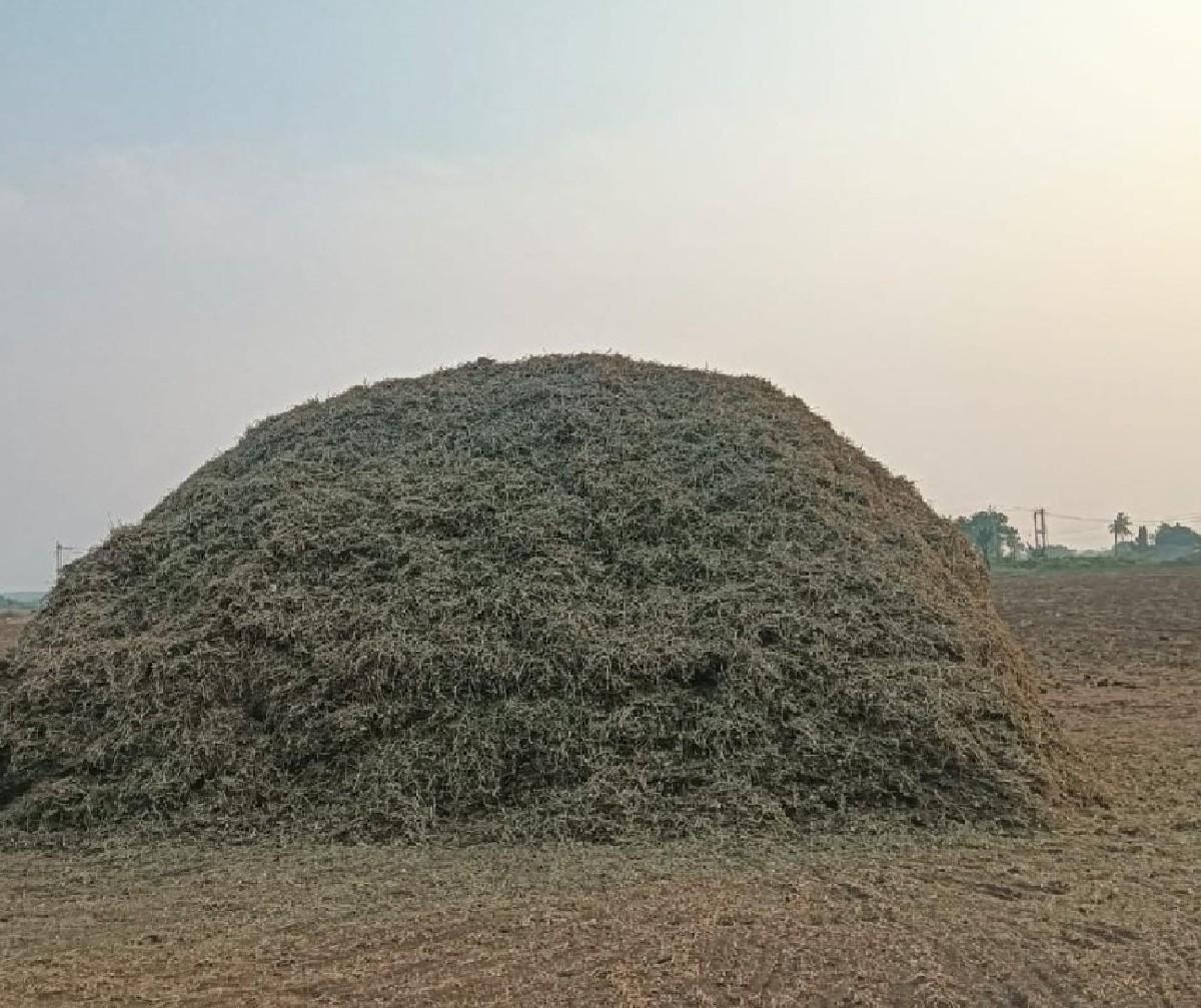 mandvi no bhuko vechavano se