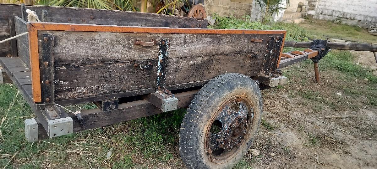 થંબનેલ 2