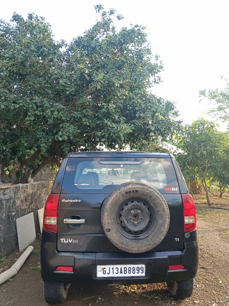 થંબનેલ 3