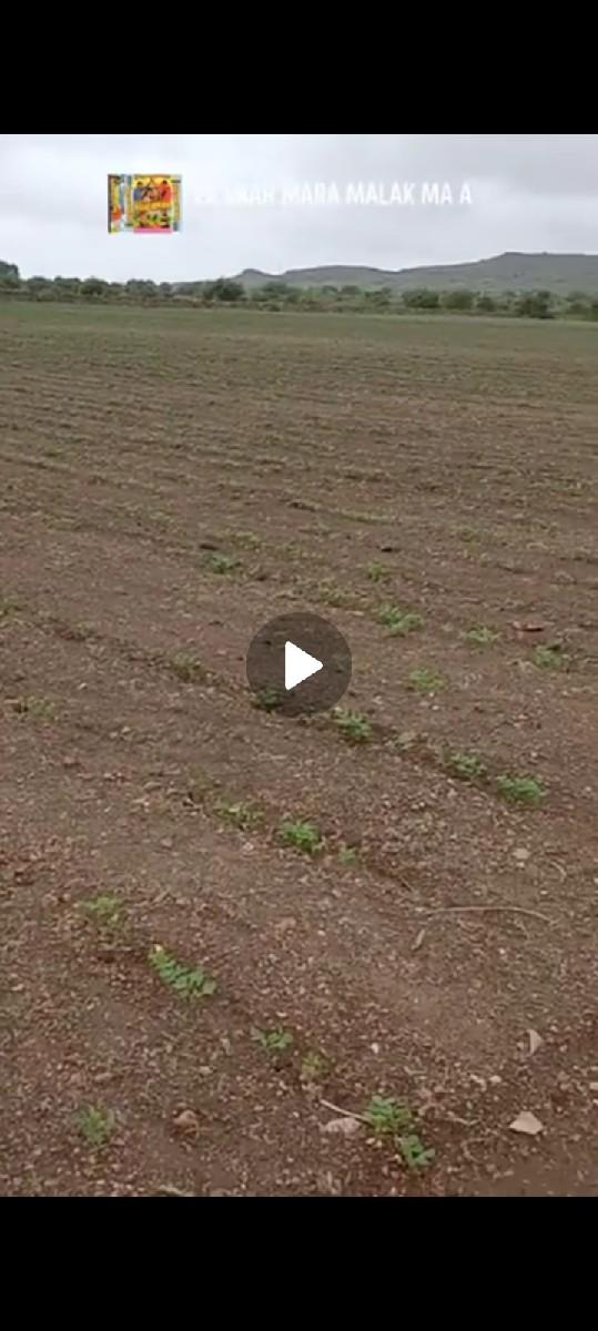 ઈલીયાસ ભાઈ ઘુઘા ૯૪૨૭૫૮૩૮૩૬