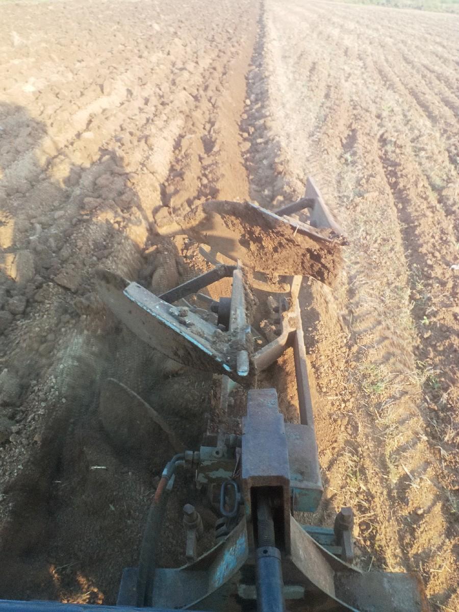 બગડો વેચવાનો છે