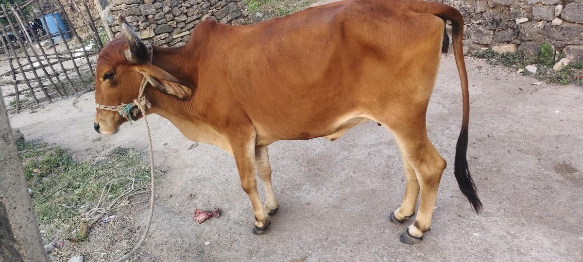 थंबनेल 2