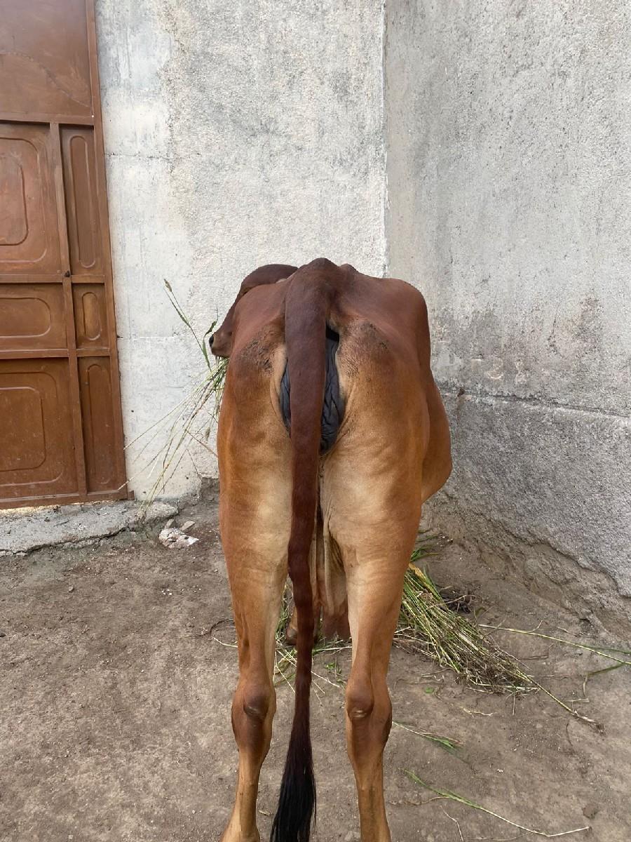 થંબનેલ 3