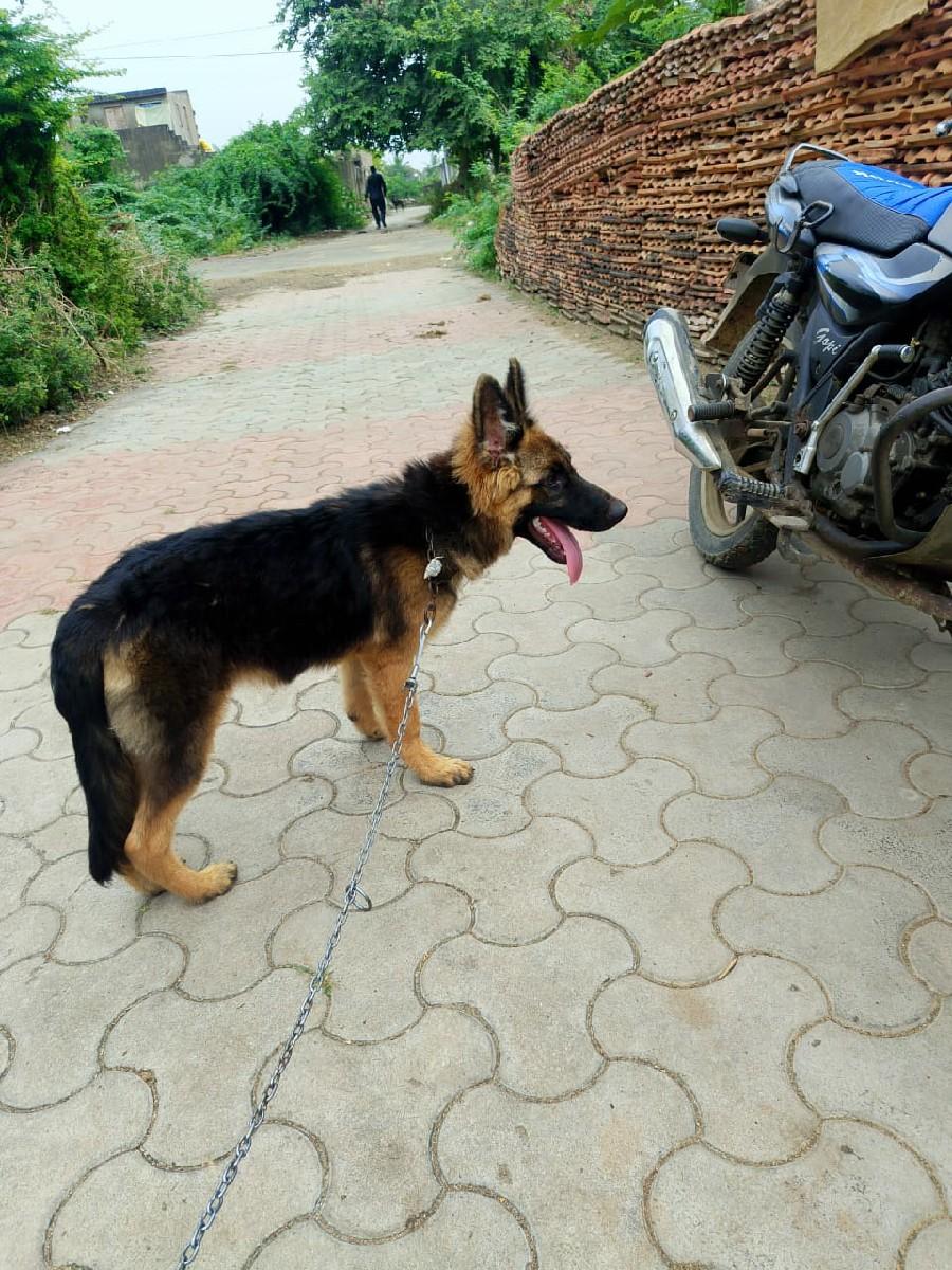 थंबनेल 3