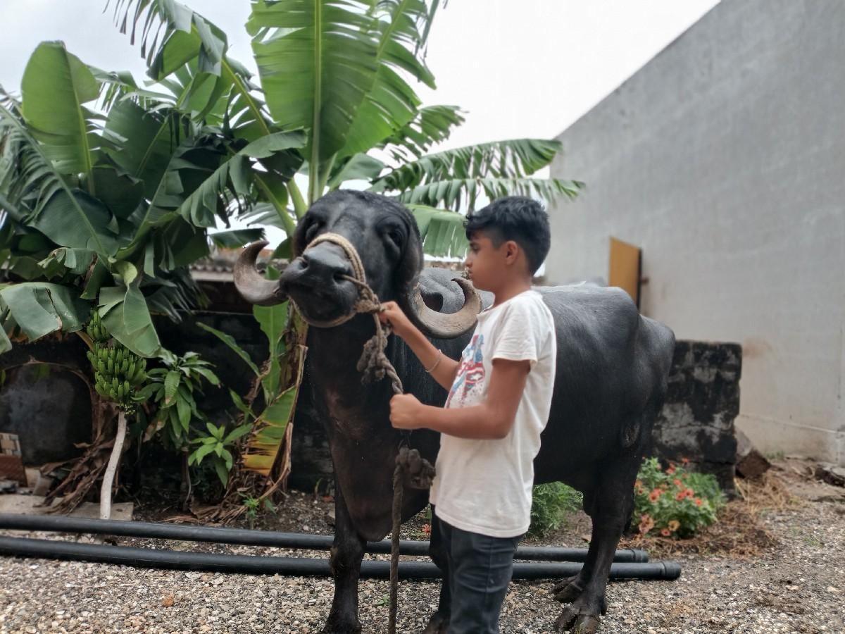 થંબનેલ 2