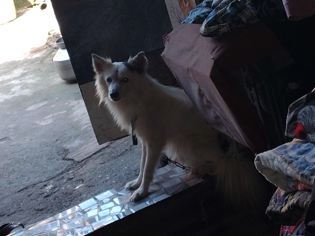 થંબનેલ 3