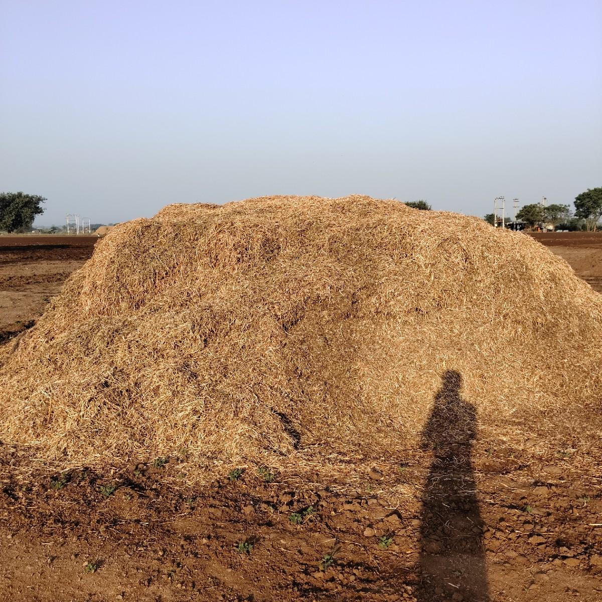 ભૂકો વેચવા નો છે