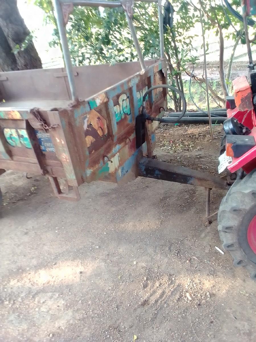 ટેલર વેશાવ છે