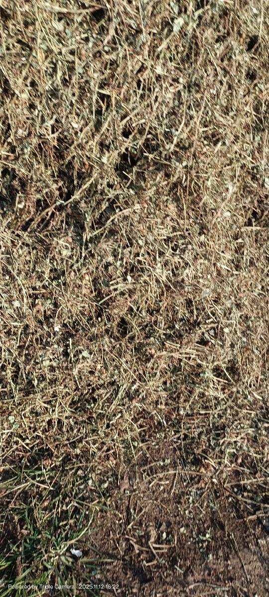 10 વીઘા નો ચારો મગફળી નો કોરો