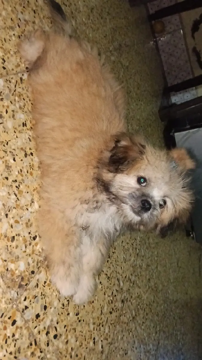 थंबनेल 2