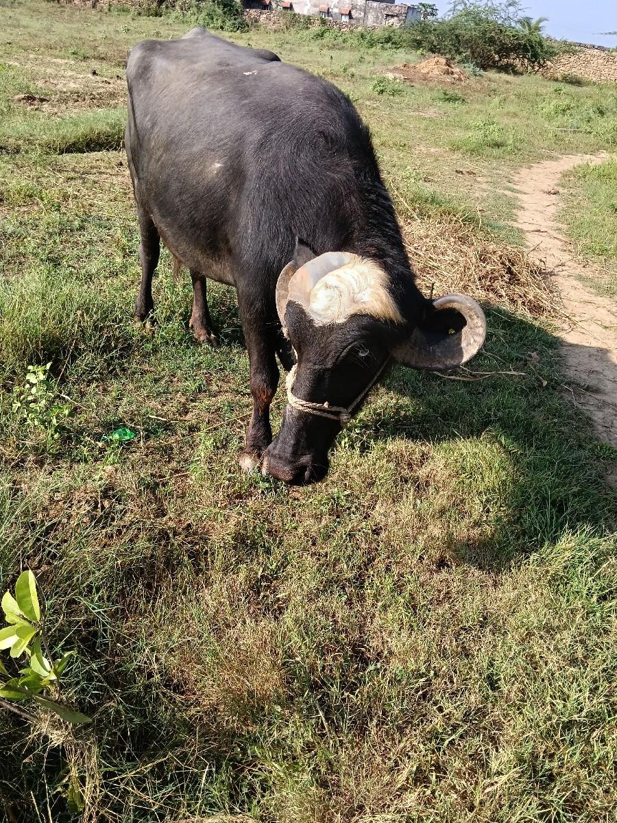 થંબનેલ 3