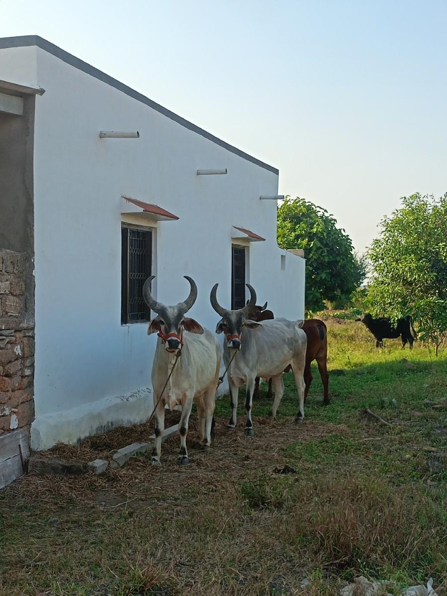 થંબનેલ 2