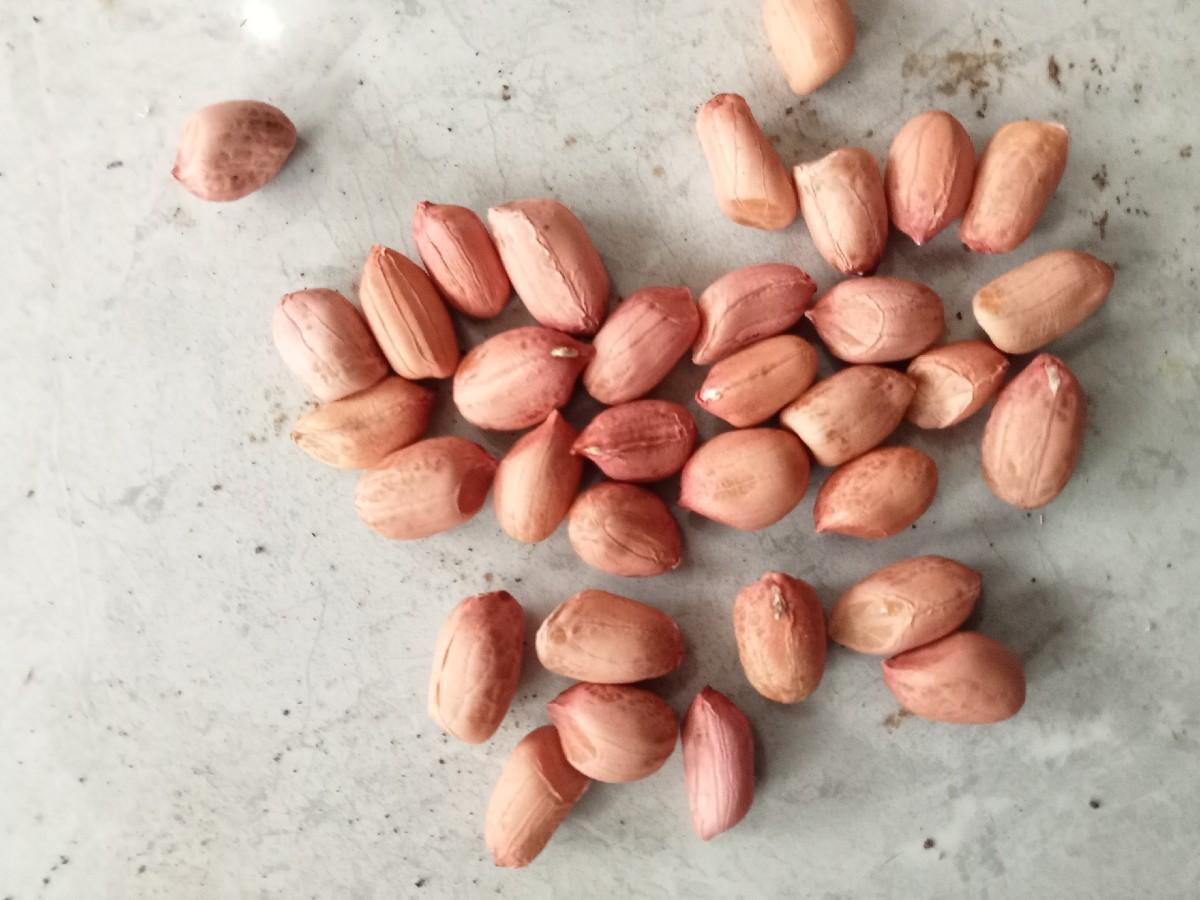 થંબનેલ 3