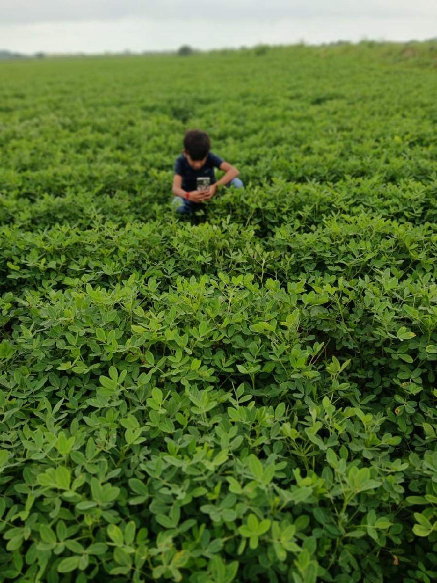 હોથીજી ખડબા. જમીન ફૂલ પાણી