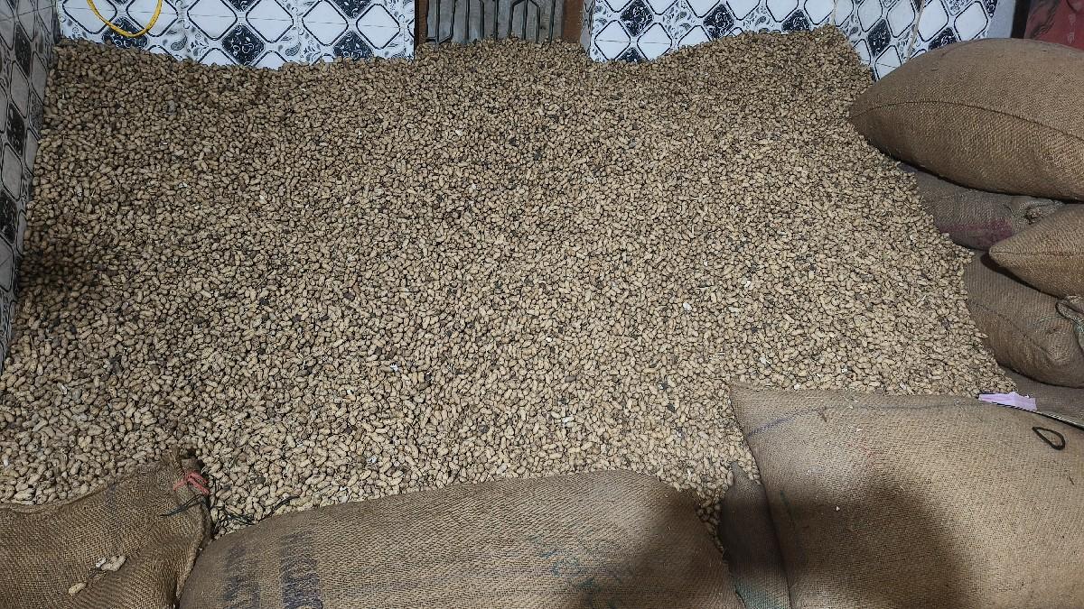 કોરેકોરું છે.....