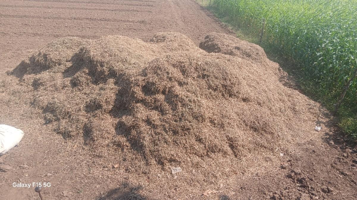 ભુકો વેસવાનો છે