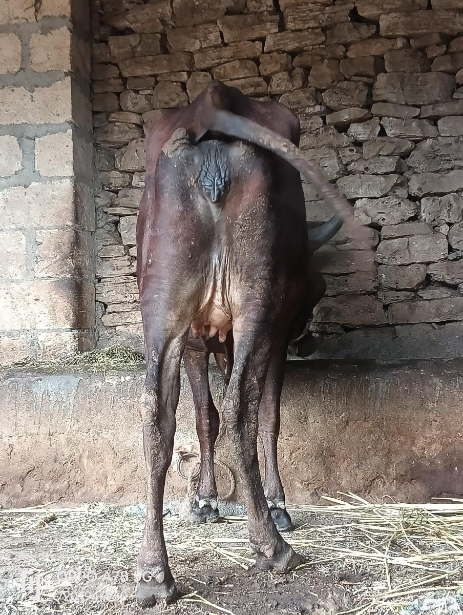 થંબનેલ 6