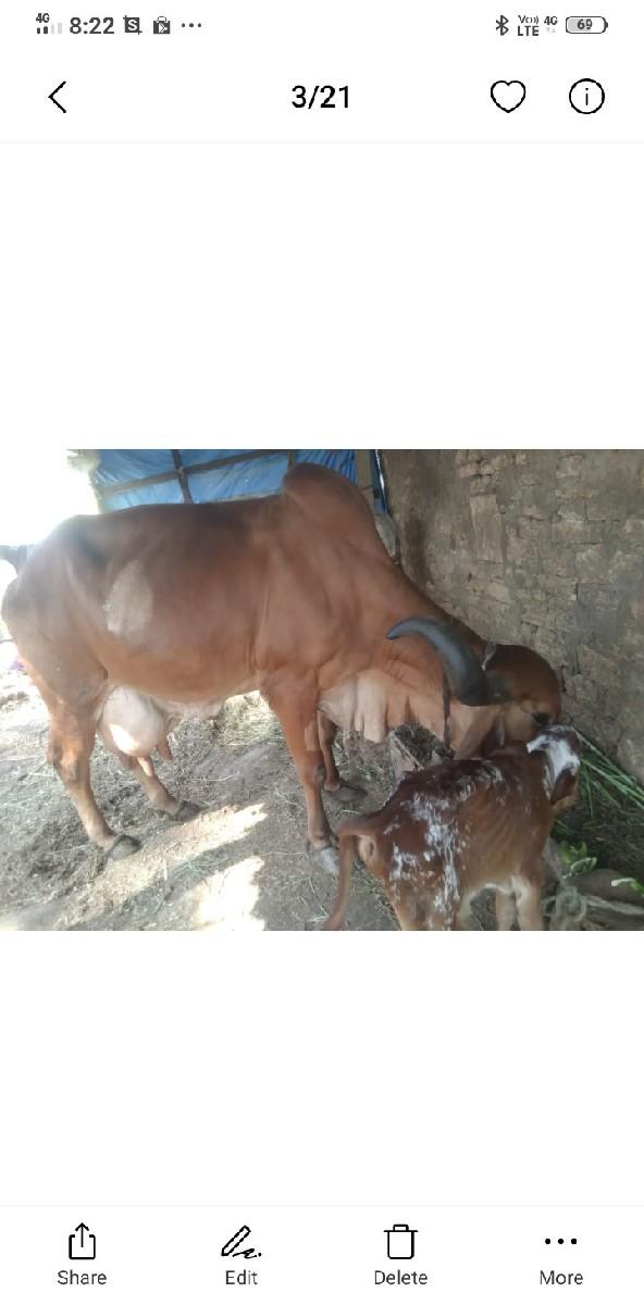 થંબનેલ 2