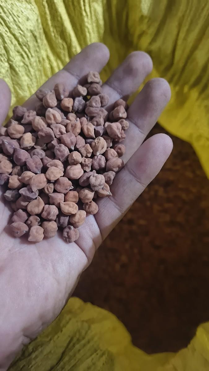 થંબનેલ 2