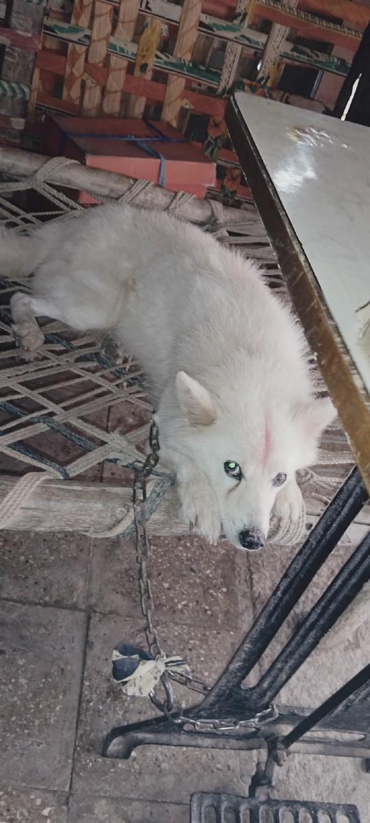 થંબનેલ 3