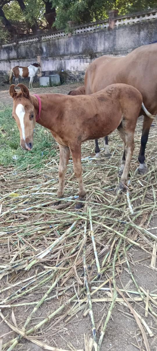 થંબનેલ 3