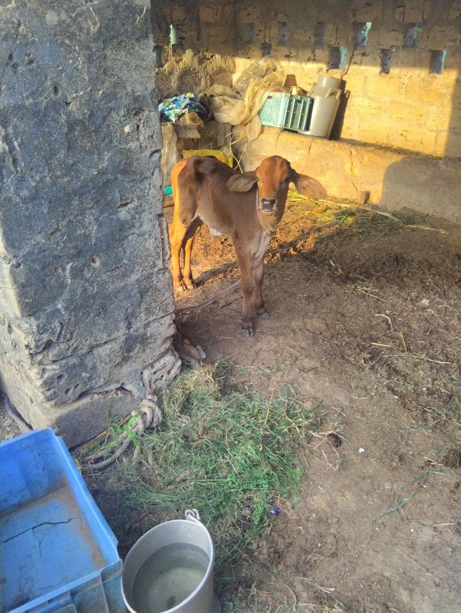 થંબનેલ 3