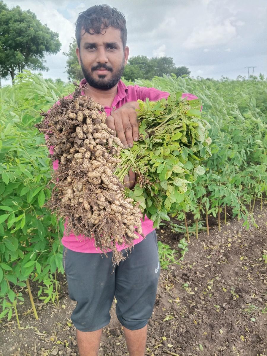 थंबनेल 3