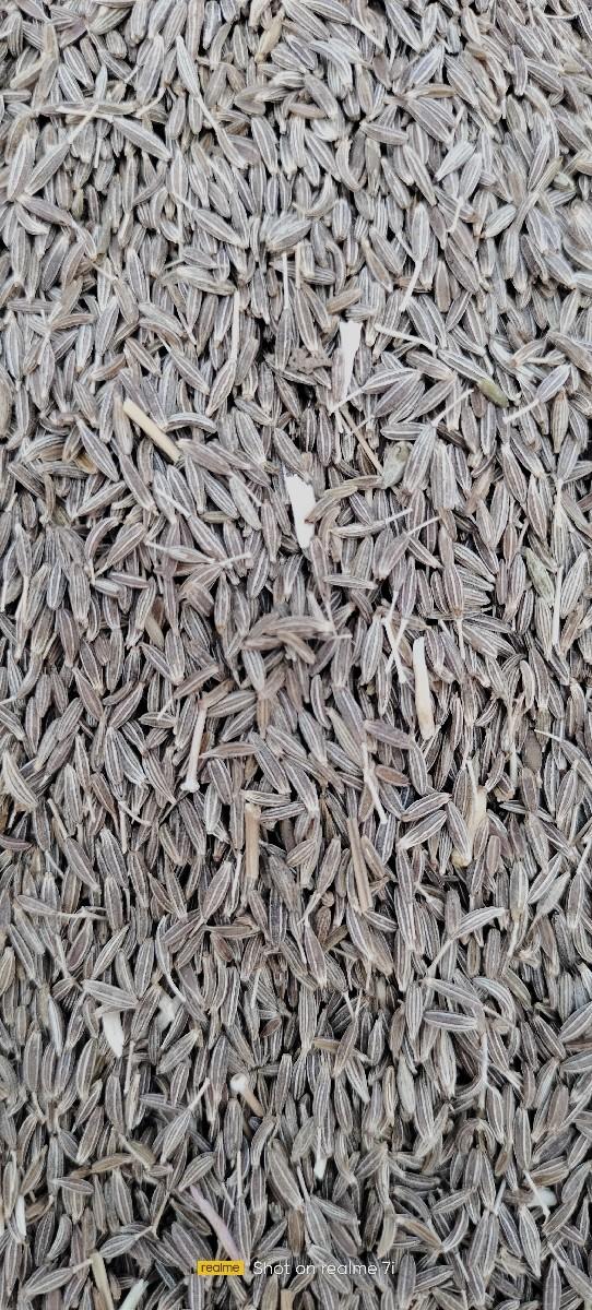 જીરું વેચવાનું છે