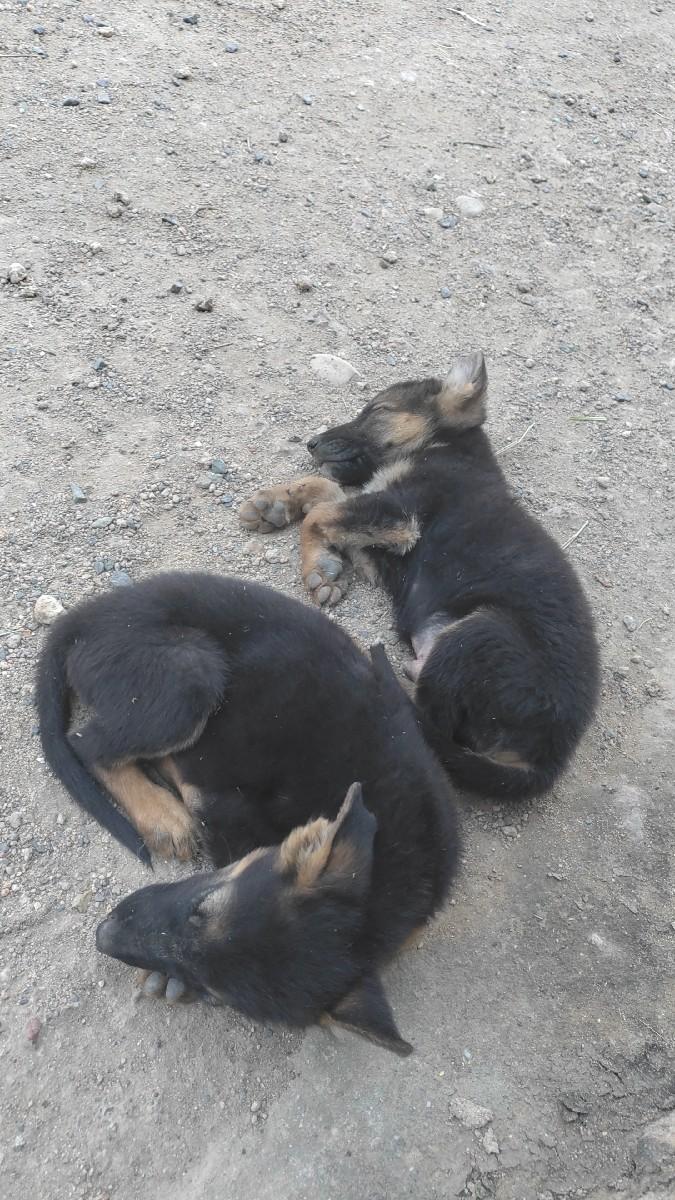 થંબનેલ 2