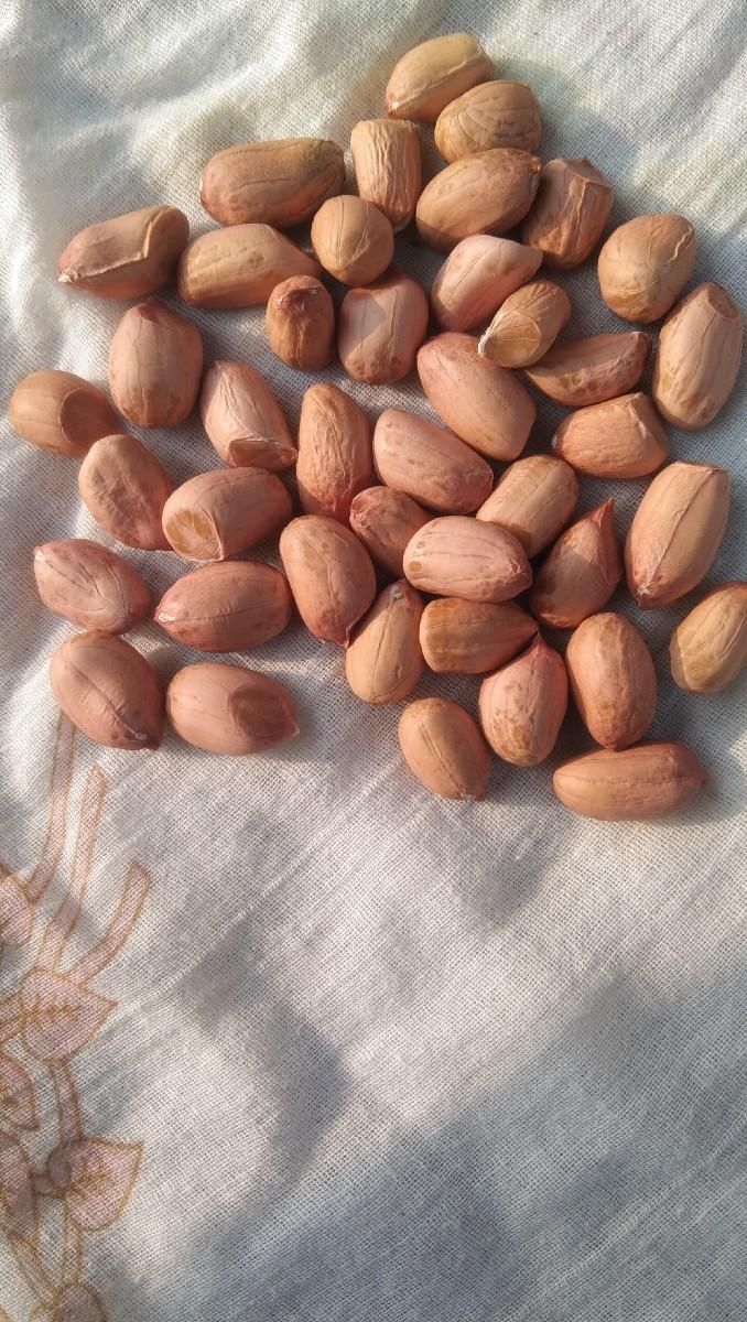 थंबनेल 2